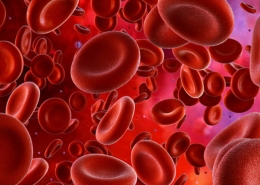 MSK Stem Cell Training Course