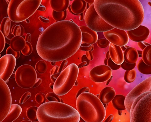 MSK Stem Cell Training Course