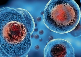 Orthopaedic Stem Cell Training Course