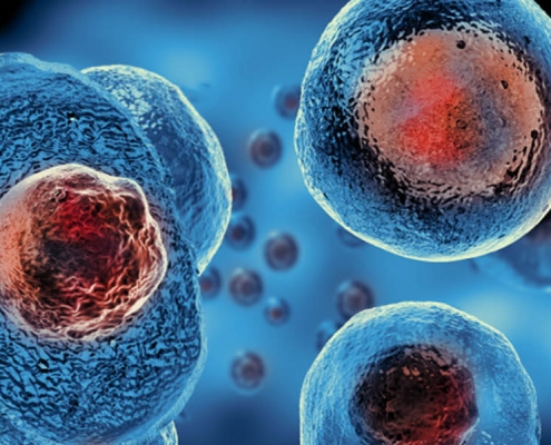 Orthopaedic Stem Cell Training Course