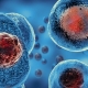 Orthopaedic Stem Cell Training Course